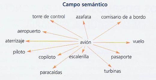 Campo L Xico Campo Sem Ntico Y Familia L Xica Con V Deo Y Ejercicios