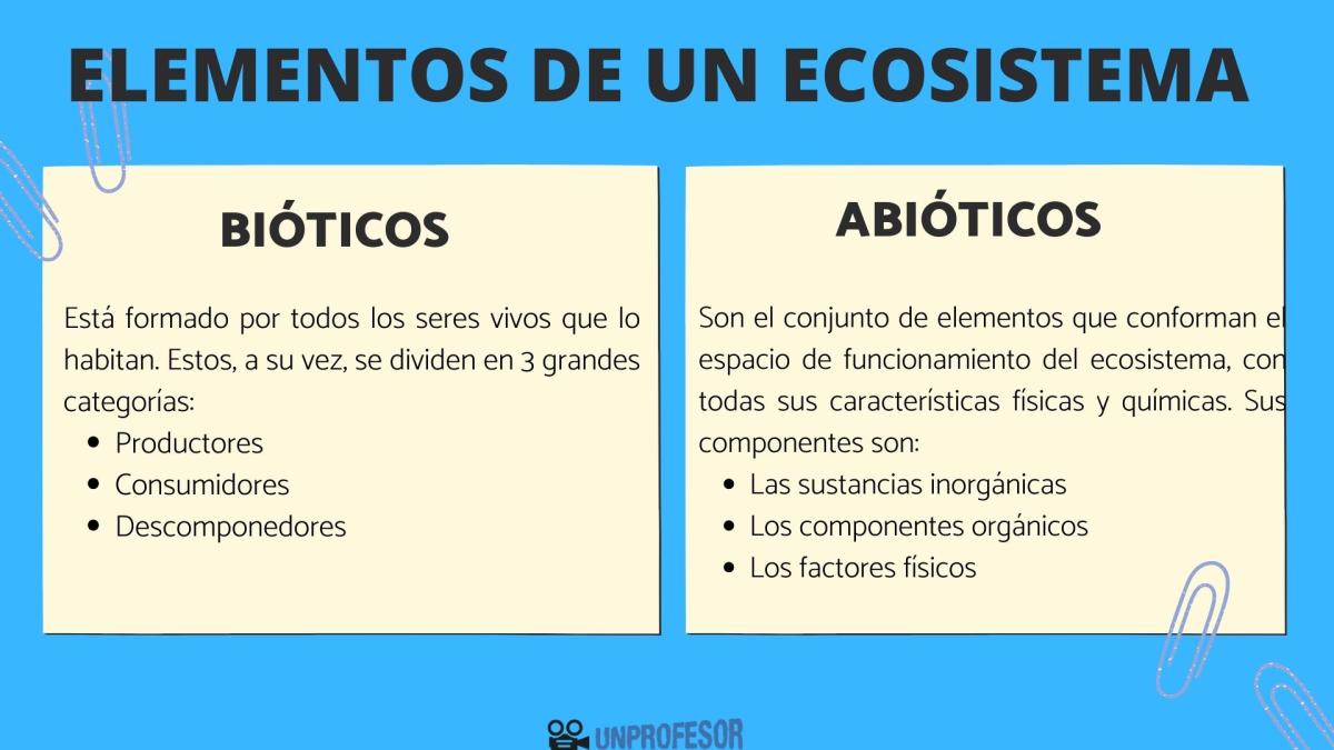 Elementos de un ecosistema