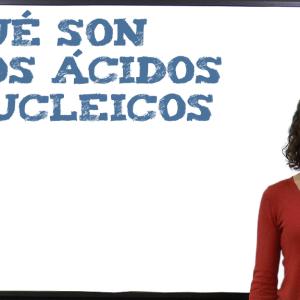 Qué son los ácidos nucleicos