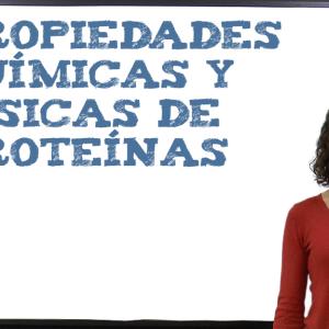 Propiedades físicas y químicas de las proteínas