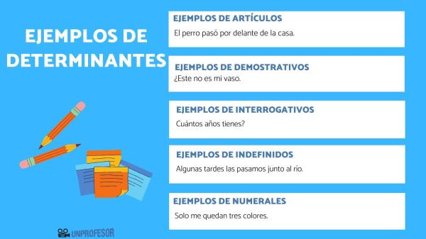 Qué tipo de palabra es CADA - Características morfológicas de la palabra CADA