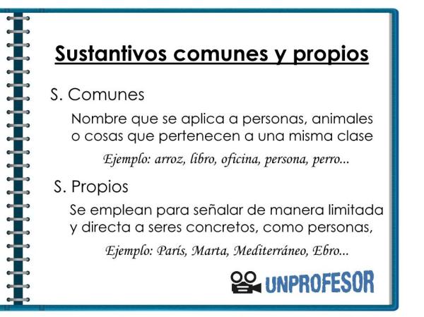 Ejemplos de sustantivos propios - Sustantivos propios y sustantivos comunes: diferencias 