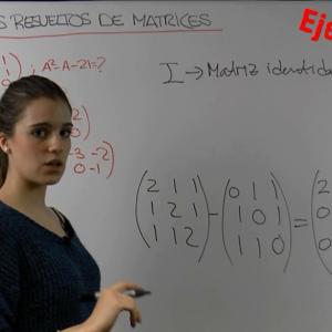 Ejercicios resueltos de matrices