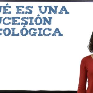 Qué es una sucesión ecológica