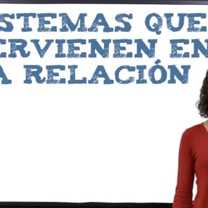 Sistemas que intervienen en la relación