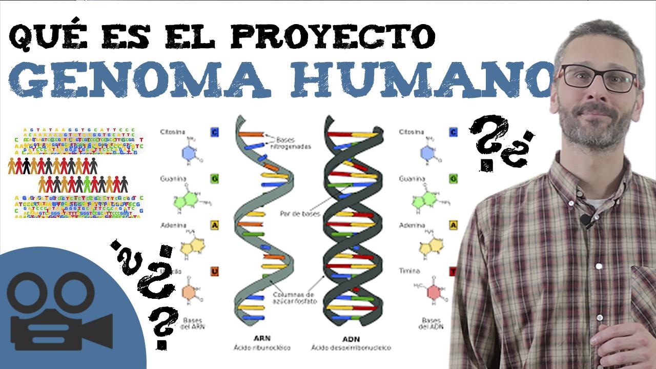 En Que Consiste El Proyecto Genoma Humano