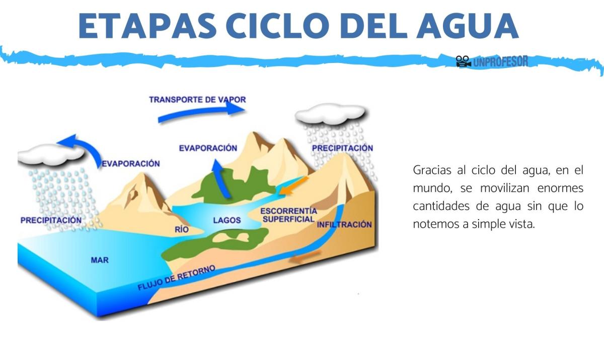 Etapas del ciclo del agua