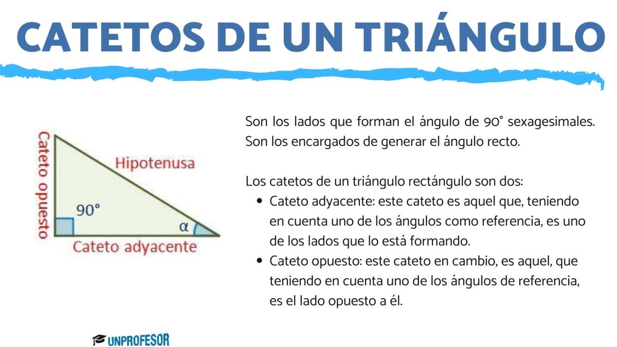 Qué es un cateto de un triángulo y ejemplos