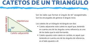 Qué es un cateto de un triángulo y ejemplos