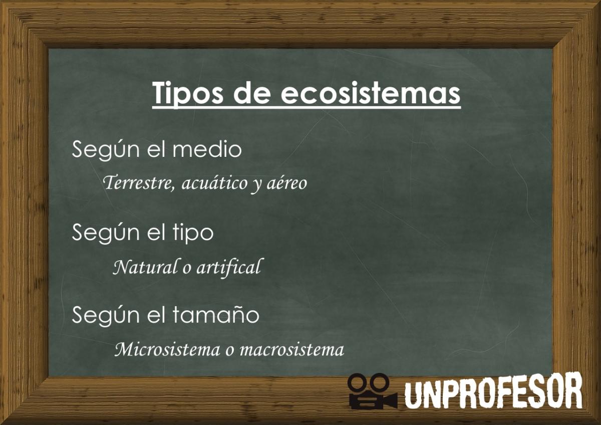 Tipos de ecosistemas y sus características