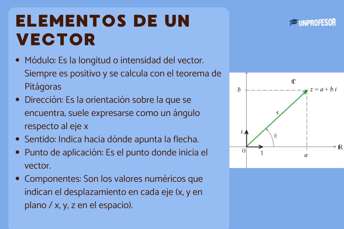 Elementos de un vector