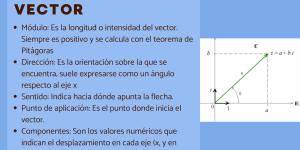 Elementos de un vector