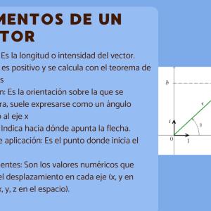 Elementos de un vector