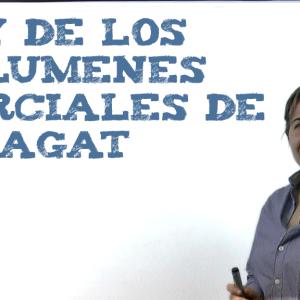 Ley de los volúmenes parciales de Amagat