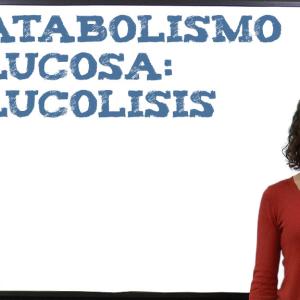 Catabolismo glucosa: glucolisis