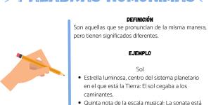 Ejemplos de palabras homónimas con su significado