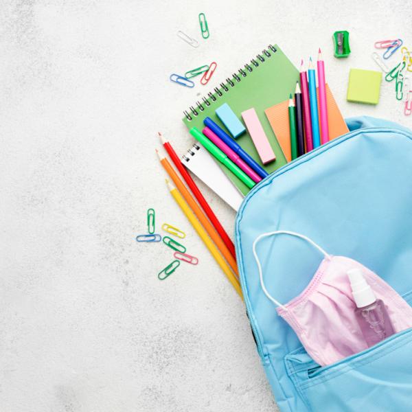 Mochilas escolares store con ruedas baratas