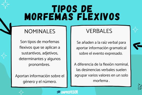 Tipos de morfemas flexivos - Cuáles son los tipos de morfemas flexivos