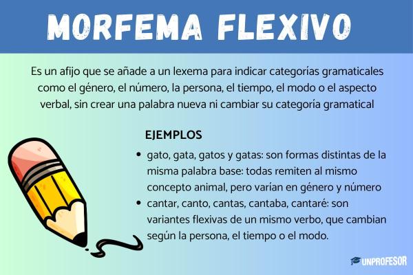 Tipos de morfemas flexivos - ¿Qué son los morfemas flexivos? Ejemplo 