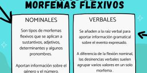 Tipos de morfemas flexivos