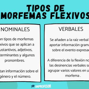 Tipos de morfemas flexivos