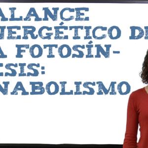 Balance energético de la fotosíntesis: anabolismo