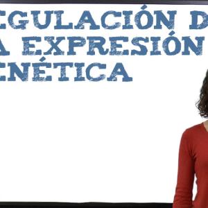 Regulación de la expresión genética