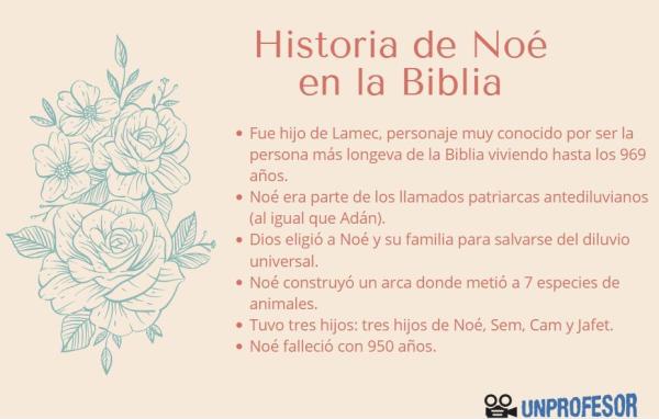 Diluvio universal en la Biblia: resumen - ¿Qué sucedió en el diluvio universal?