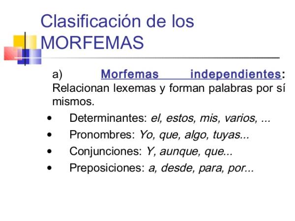 Qué es un morfema independiente - En qué consiste un morfema independiente