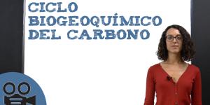 Ciclo biogeoquímico del carbono