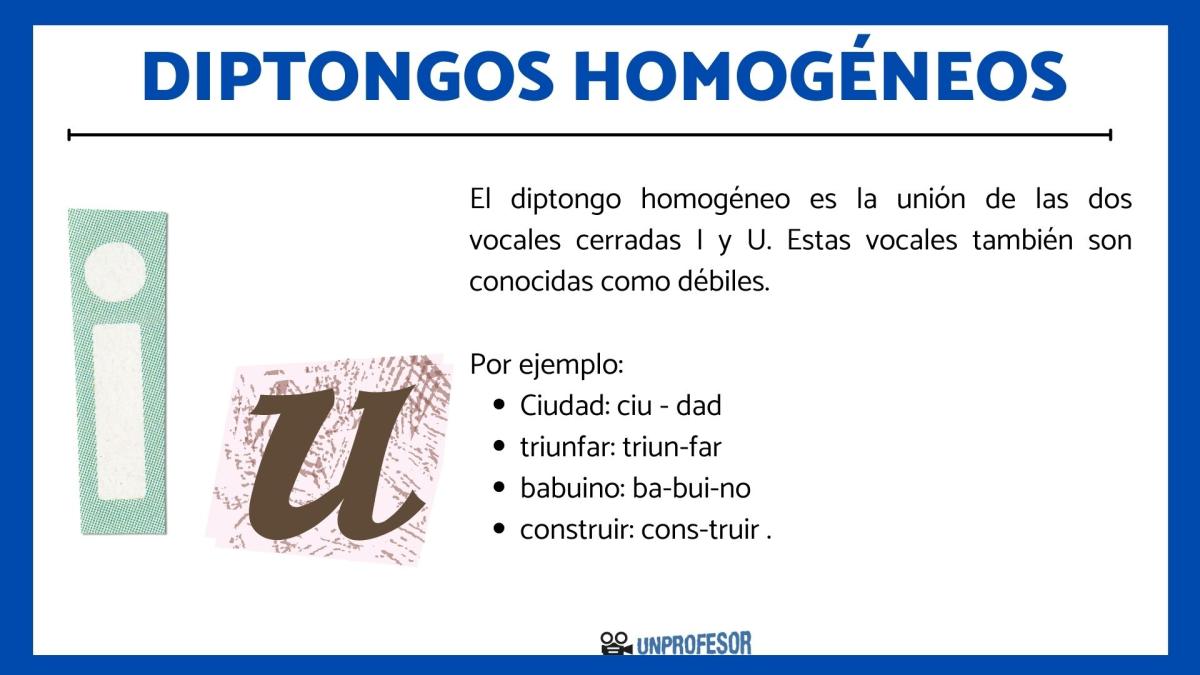 Qué son los diptongos homogéneos y ejemplos