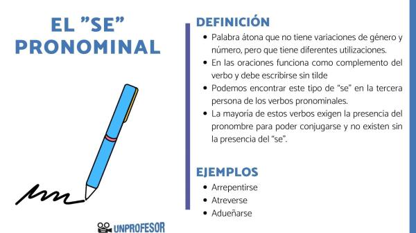 Qué es el pronombre impersonal: ejemplos - 6 características del pronombre impersonal SE
