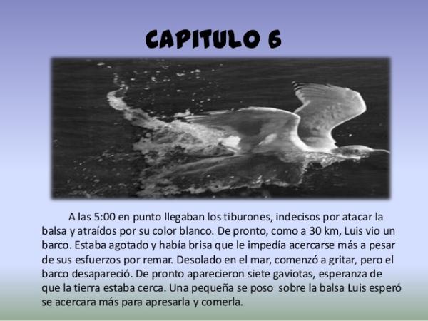 Relato de un náufrago: resumen - Resumen del capítulo 6 al 10 de Relato de un náufrago 