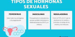 Tipos de hormonas sexuales
