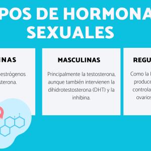 Tipos de hormonas sexuales