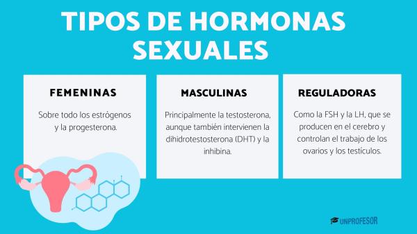 Tipos de hormonas sexuales