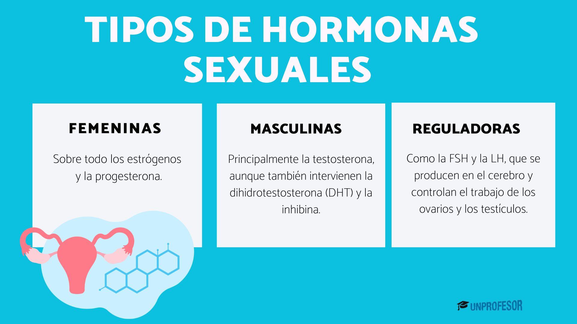 3 tipos de HORMONAS sexuales - resumen