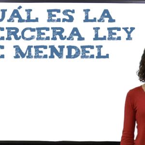 Cuál es la tercera ley de Mendel