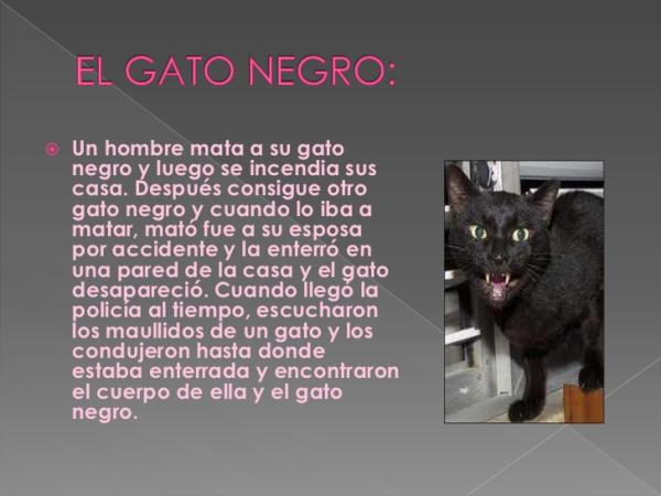 Edgar Allan Poe: libros más importantes - El gato negro, uno de los libros de Poe más célebres 