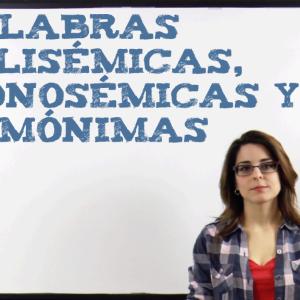 Palabras polisémicas, monosémicas y homónimas