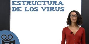 Estructura de los virus