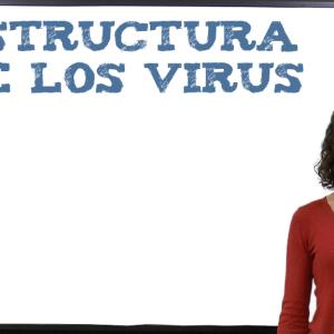 Estructura de los virus