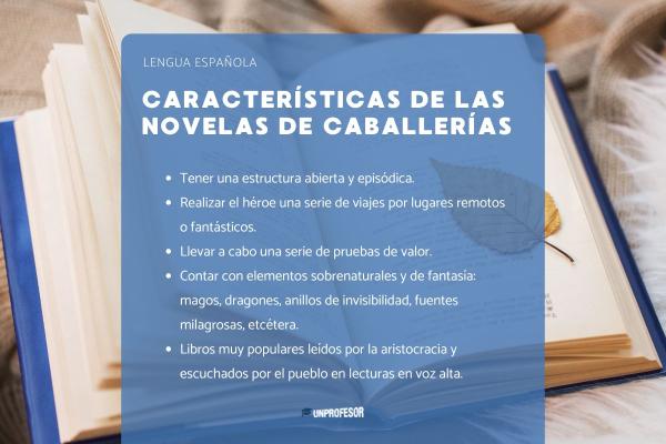 Novelas de caballerías más importantes - ¿Qué características tienen las novelas de caballerías?