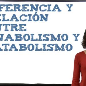 Diferencia y Relación entre anabolismo y catabolismo