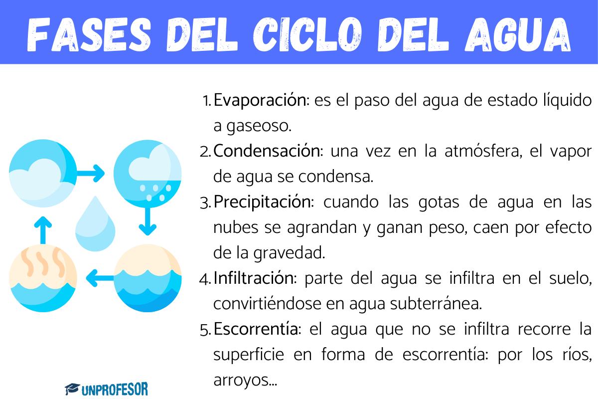 Fases del ciclo del agua