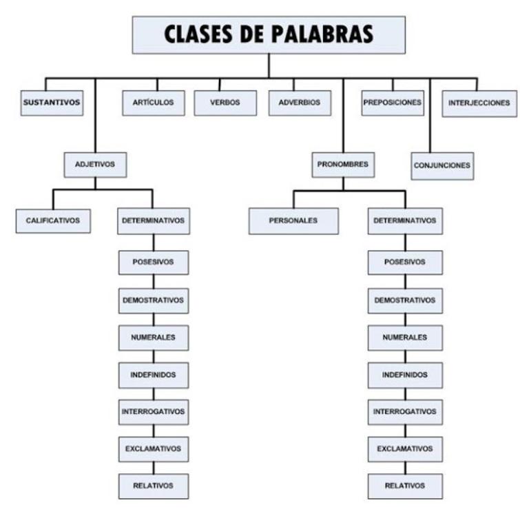 Qué tipo de palabra es TODOS con EJEMPLOS [RESUMEN fácil]