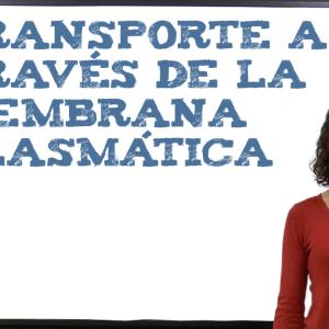 Transporte a través de la membrana plasmática