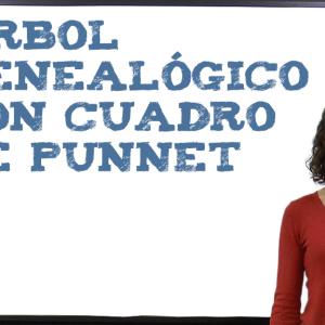 Árbol genealógico con cuadro de Punnet