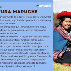 Cultura mapuche: resumen