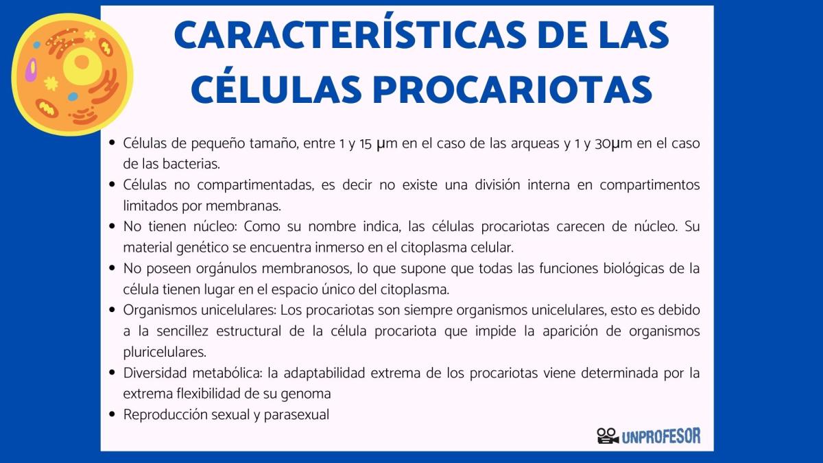 Características de las células procariotas